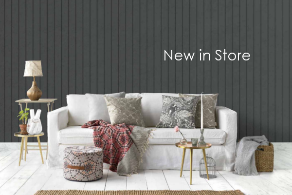 designer-allboards-new-in-store